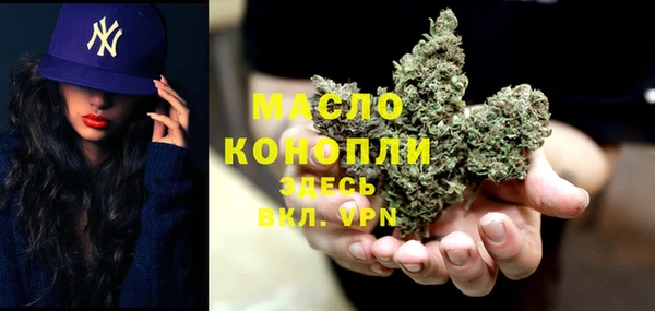 гидра Дмитриев