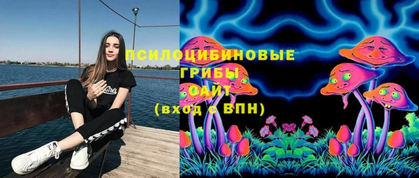гидра Дмитриев