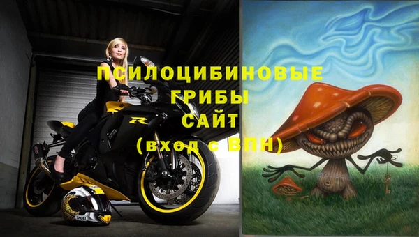 таблы Дмитровск