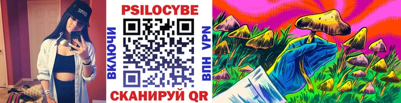 Галлюциногенные грибы Psilocybe  Купить где  Томари 