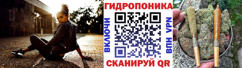 Купить закладки  Томари  Бошки Шишки планчик 